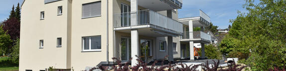 Seewadelstrasse, Volketswil
