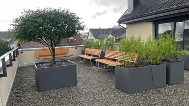 Kronenstrasse, Dielsdorf